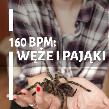 160BPM 160BPM